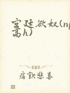 宫廷欲奴(np高h)