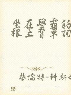 坐在学霸的大紫根上背单词封面