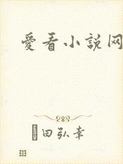 爱看小说网