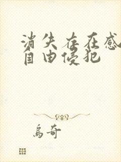 消失存在感消失自由侵犯