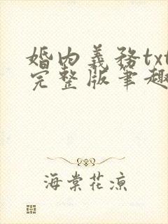 婚内义务txt完整版笔趣阁