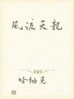 风流天龙封面