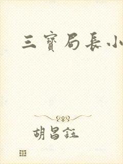 三宝局长小说封面