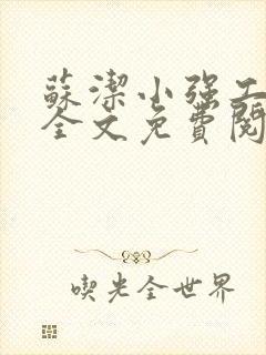 苏洁小强工地情全文免费阅读