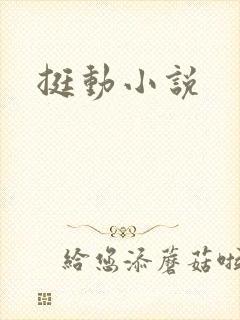 挺动小说封面