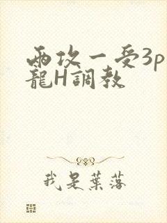 两攻一受3p双龙H调教