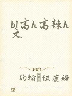 bl高h高辣h文封面