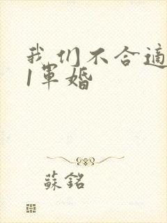 我们不合适1v1军婚封面
