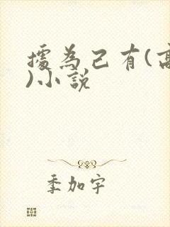 据为己有(高干)小说