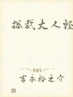 总裁大人轻一点封面