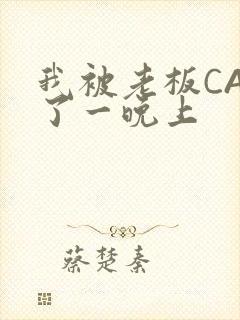 我被老板CAO了一晚上