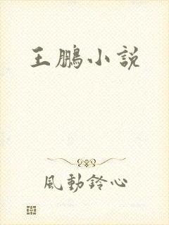 王鹏小说