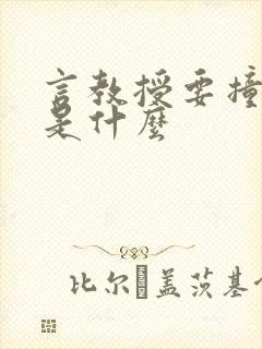 言教授要撞坏了是什么