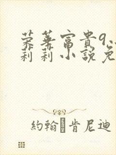 荣华富贵9小王莉莉小说免费阅读