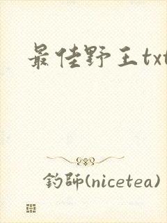 最佳野王txt封面