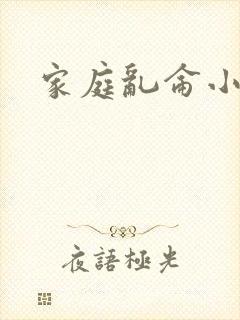 家庭乱仑小说封面