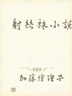 射丝袜小说
