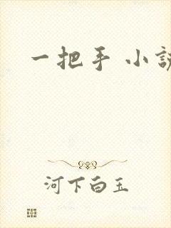 一把手 小说