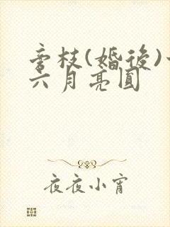 旁枝(婚后)十六月亮圆封面