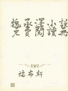 魏承泽小说全文免费阅读无弹窗笔趣