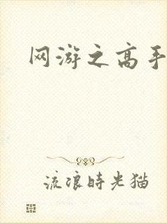 网游之高手寂寞