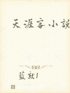 天涯客小说封面