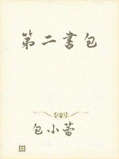 第二书包封面