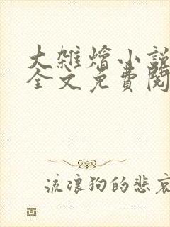 大杂烩小说在线全文免费阅读笔趣阁封面