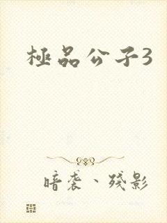 极品公子3
