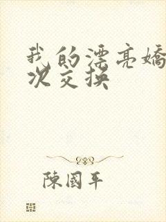 我的漂亮娇妻初次交换