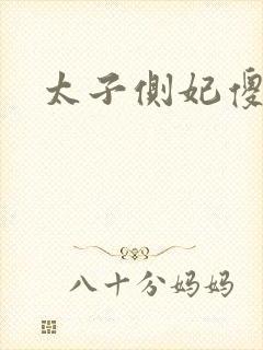 太子侧妃傻乎乎封面