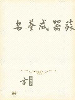 名养成器苏沫沫