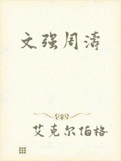 文强周涛封面