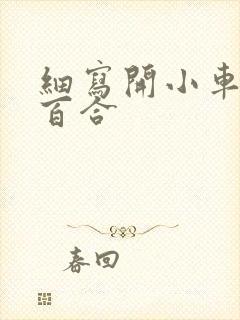 细写开小车车的百合