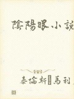 阴阳眼小说封面