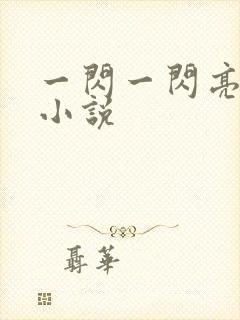 一闪一闪亮星星小说