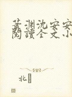 萧渊沈安安免费阅读全文小说