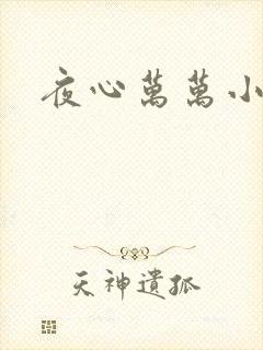 夜心万万小说封面