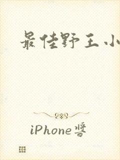 最佳野王小说封面