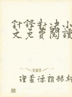 针锋对决小说全文免费阅读完整版封面