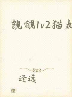 觊觎1v2猫丸封面