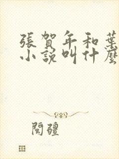 张贺年和叶繁姿小说叫什么名字