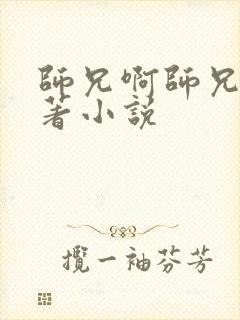 师兄啊师兄的原著小说