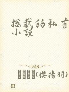 总裁的私有宝贝小说封面