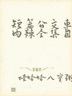 短篇公交车高h肉辣全集目录