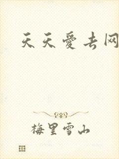 天天爱去网