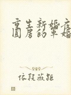 重生新婚夜正在圆房的军婚