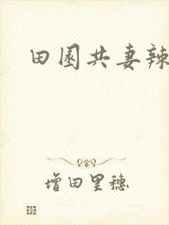 田园共妻辣