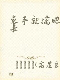 束手就擒吧韩队长