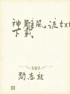 神雕风流txt下载